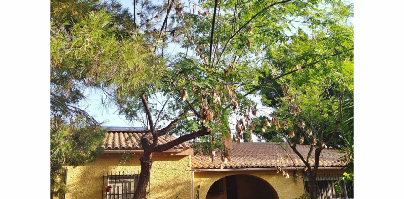 Venta - Chalet - Sant Vicent del Raspeig - San Vicente del Raspeig - Villamontes-Boqueres