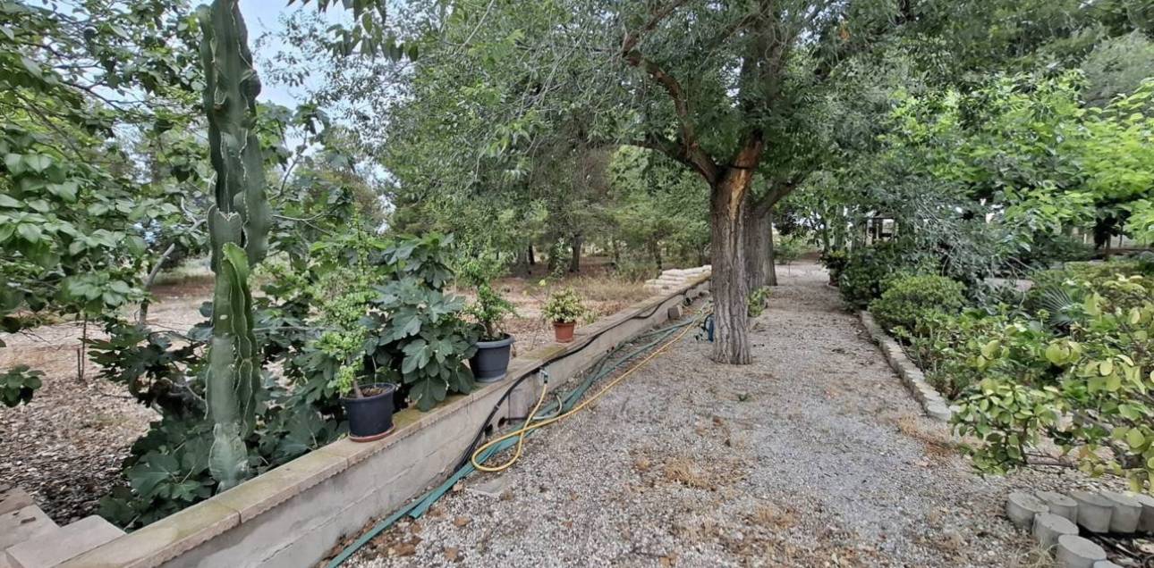 Venta - Chalet - Sant Vicent del Raspeig - San Vicente del Raspeig - Villamontes-Boqueres