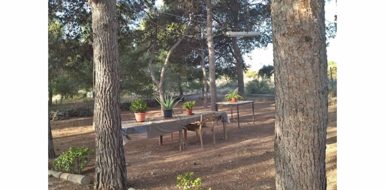 Venta - Chalet - Sant Vicent del Raspeig - San Vicente del Raspeig - Villamontes-Boqueres