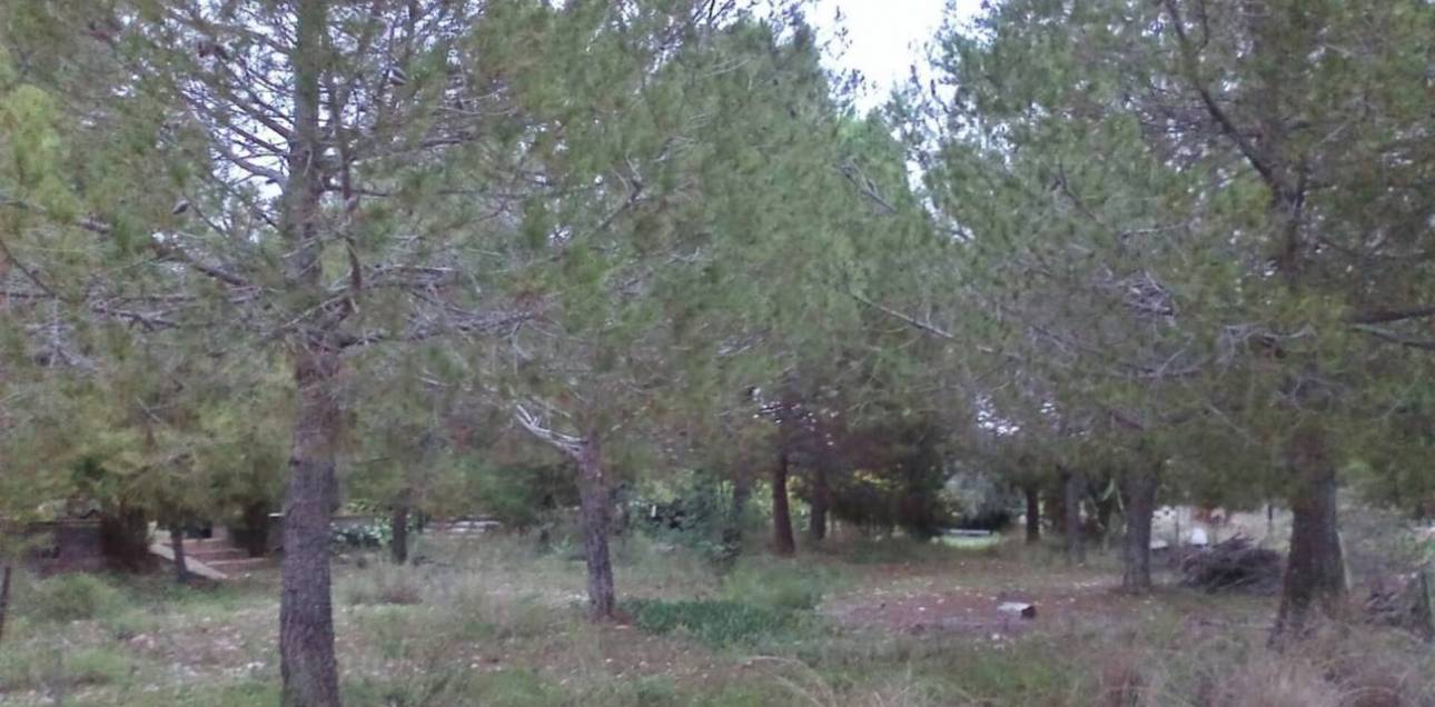 Venta - Chalet - Sant Vicent del Raspeig - San Vicente del Raspeig - Villamontes-Boqueres