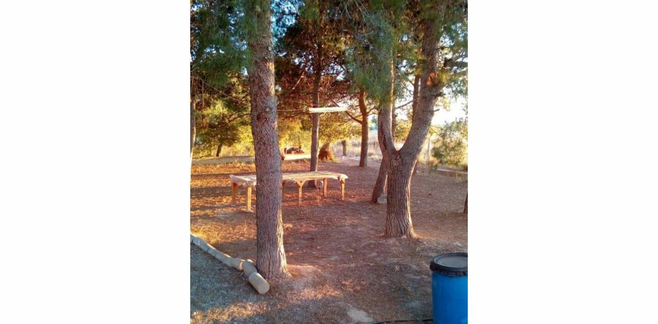 Venta - Chalet - Sant Vicent del Raspeig - San Vicente del Raspeig - Villamontes-Boqueres