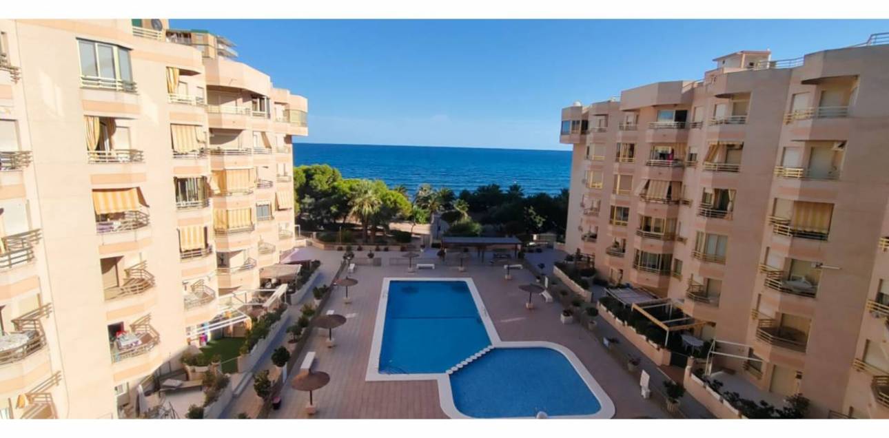Venta - Apartamento - El Campello - Platja Muchavista