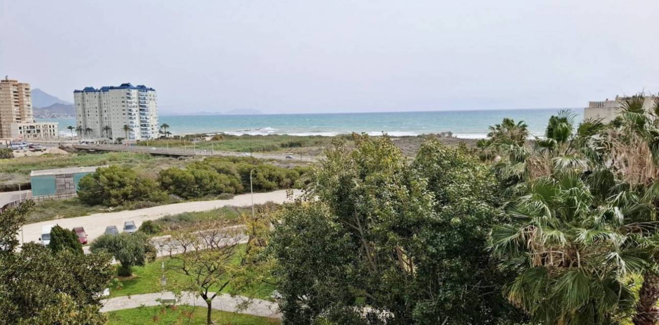 Alquiler a largo plazo - Apartamento - El Campello - Platja Muchavista