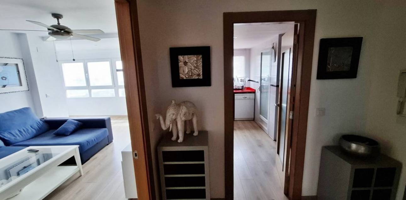 Alquiler a largo plazo - Apartamento - El Campello - Platja Muchavista