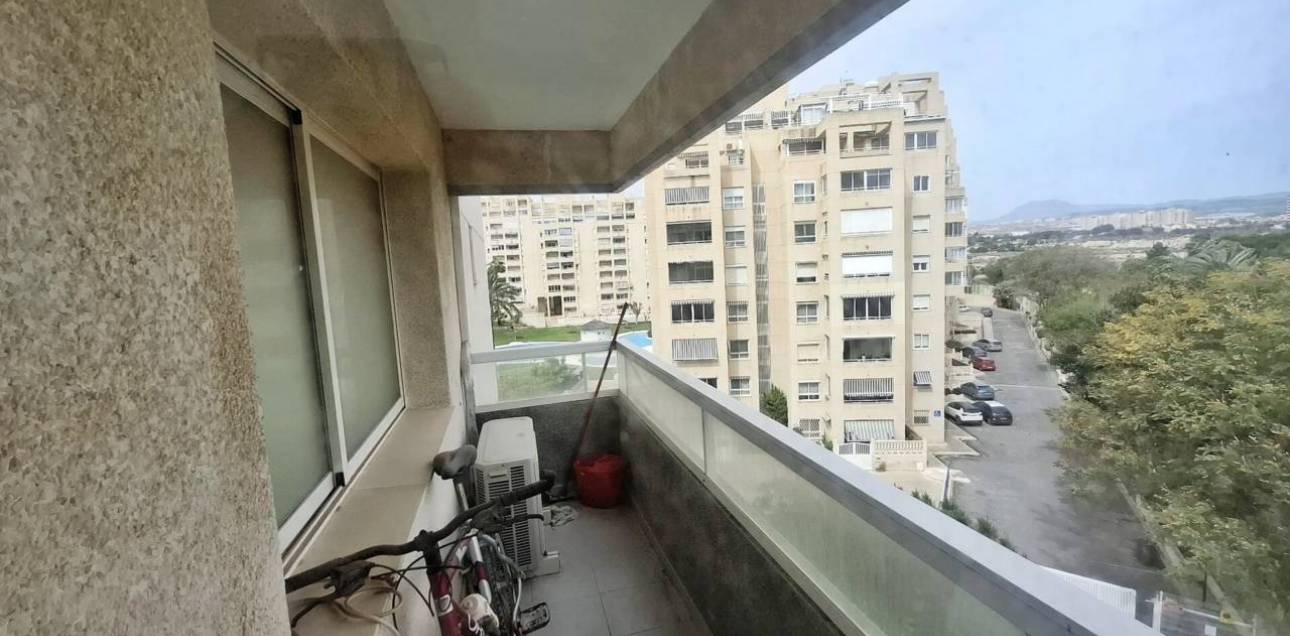 Alquiler a largo plazo - Apartamento - El Campello - Platja Muchavista
