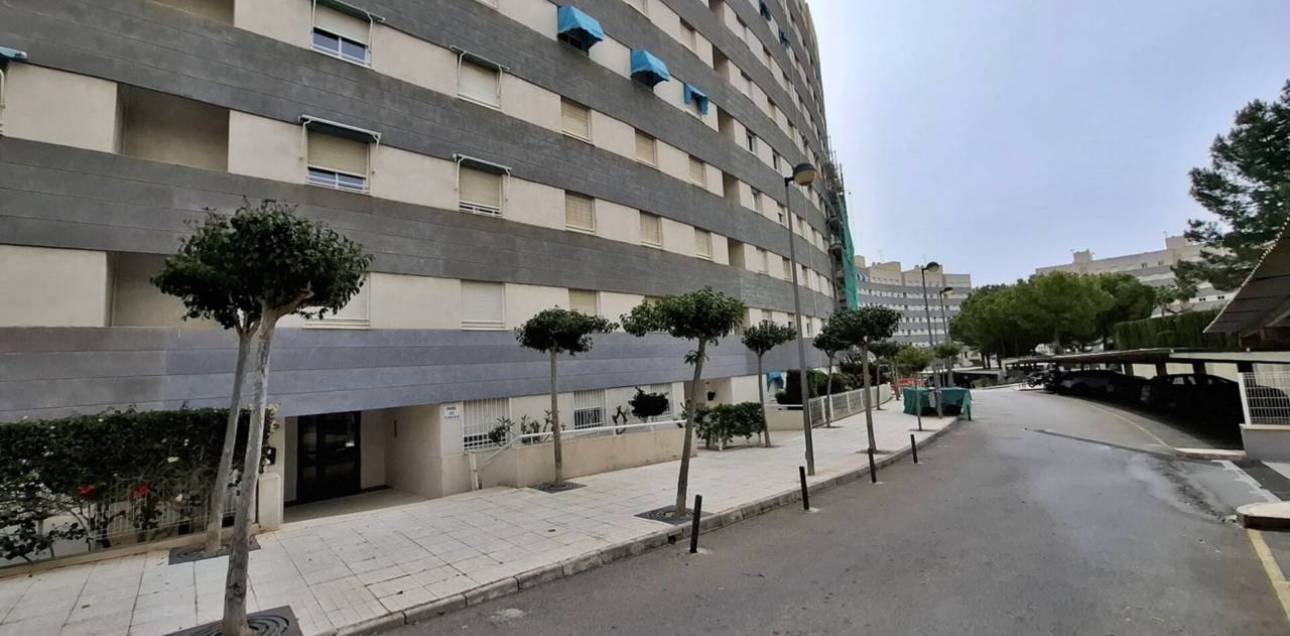 Alquiler a largo plazo - Apartamento - El Campello - Platja Muchavista