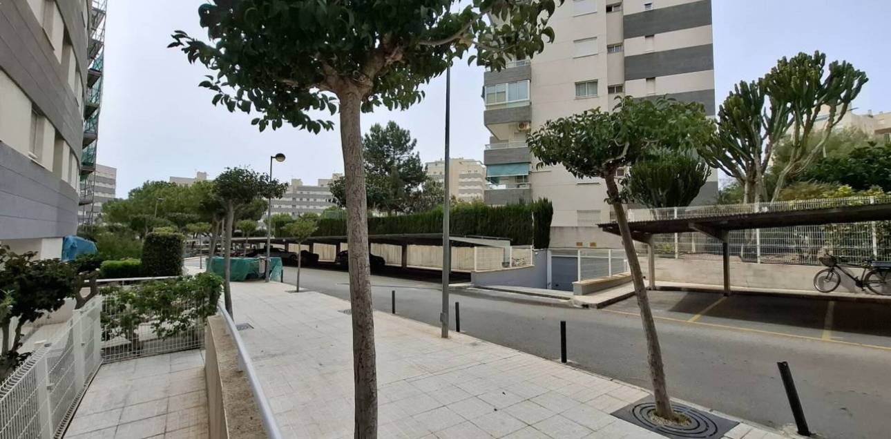 Alquiler a largo plazo - Apartamento - El Campello - Platja Muchavista