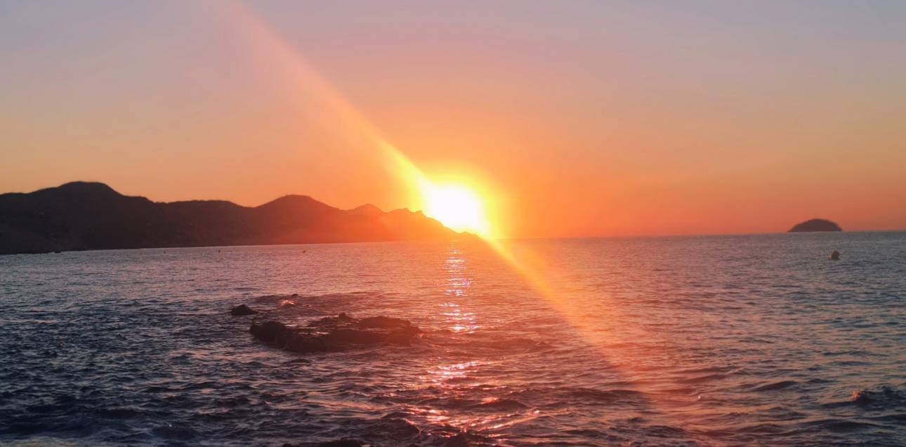 Venta - Casa adosada - 