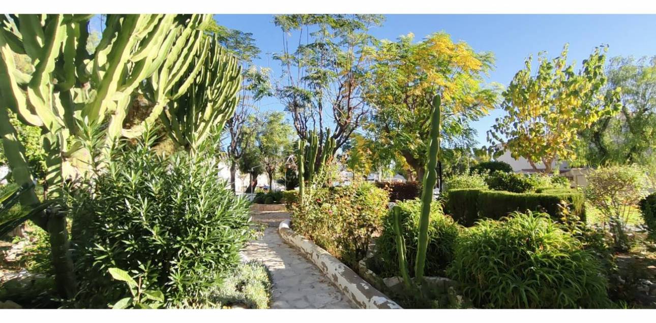 Venta - Bungalow - El Campello - La Almadraba-Coveta Fumà-Amerador