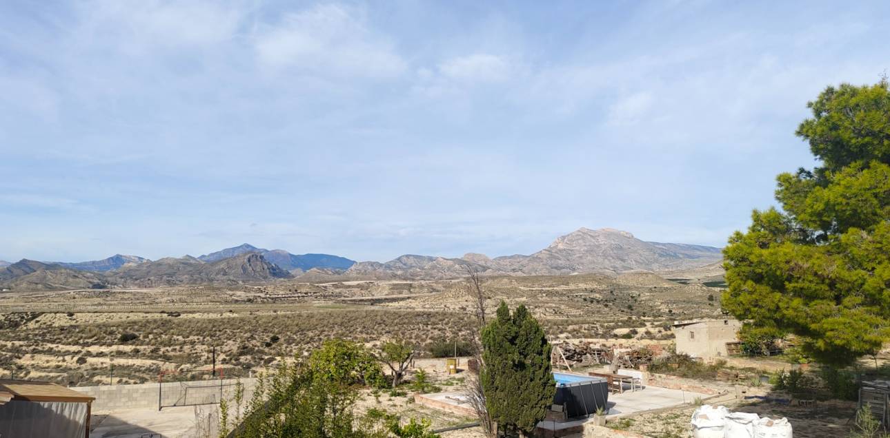 Location longue durée - Villa - Busot