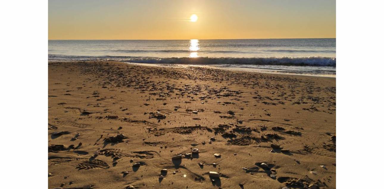 Resale - Bungalow - El Campello - Norte-Venta Lanuza-Cala d'Or