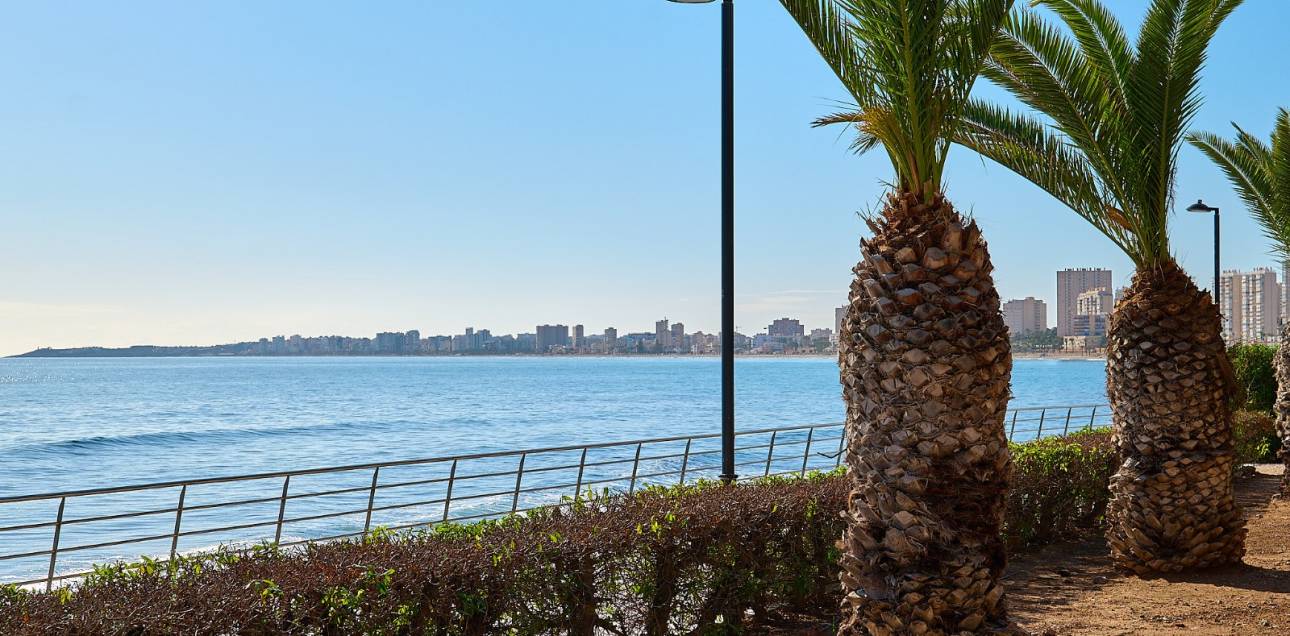 Resale - Apartment - El Campello - Platja Muchavista