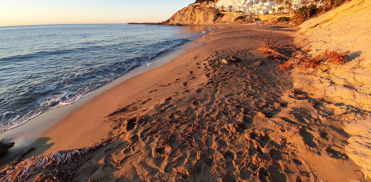 Resale - Apartment - El Campello - Norte-Venta Lanuza-Cala d'Or