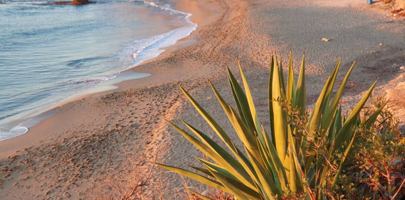 Resale - Apartamento - El Campello - Norte-Venta Lanuza-Cala d'Or