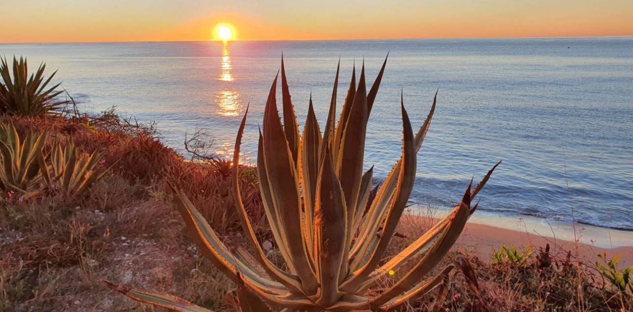 Resale - Apartamento - El Campello - Norte-Venta Lanuza-Cala d'Or