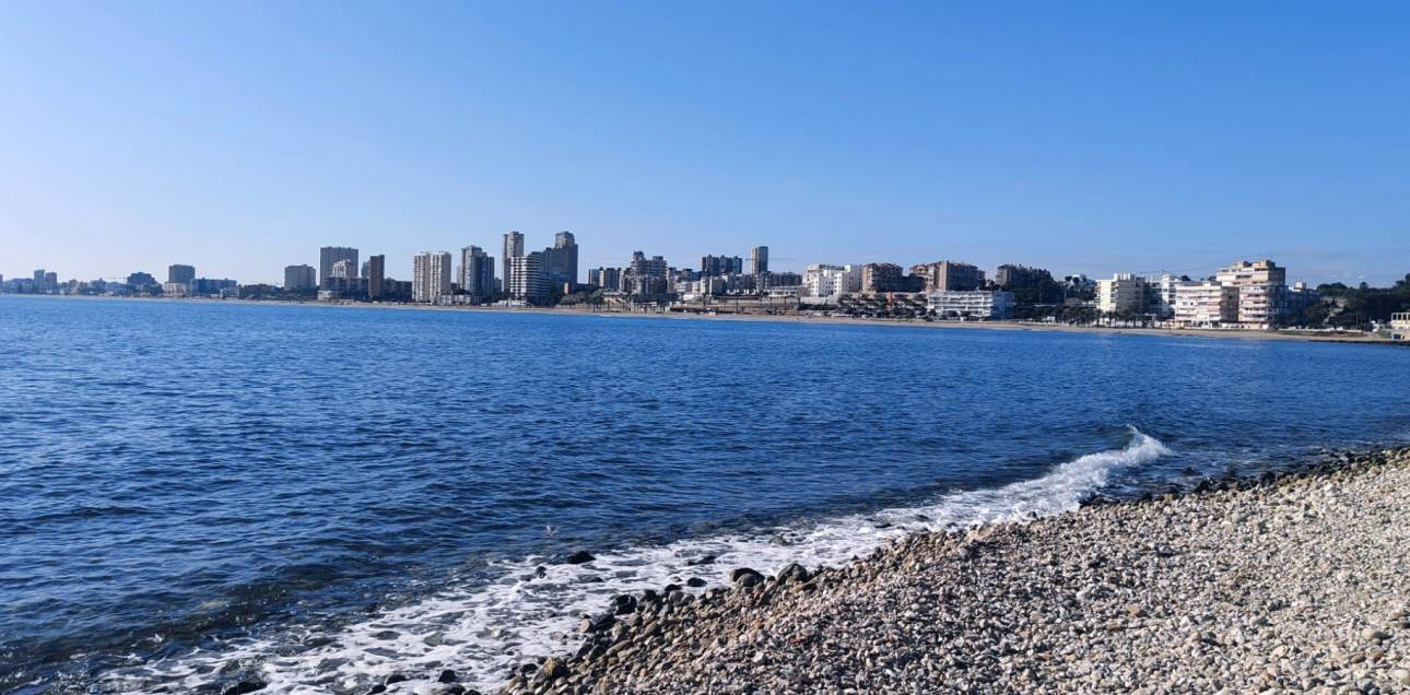 Resale - Apartment - El Campello - Platja Muchavista