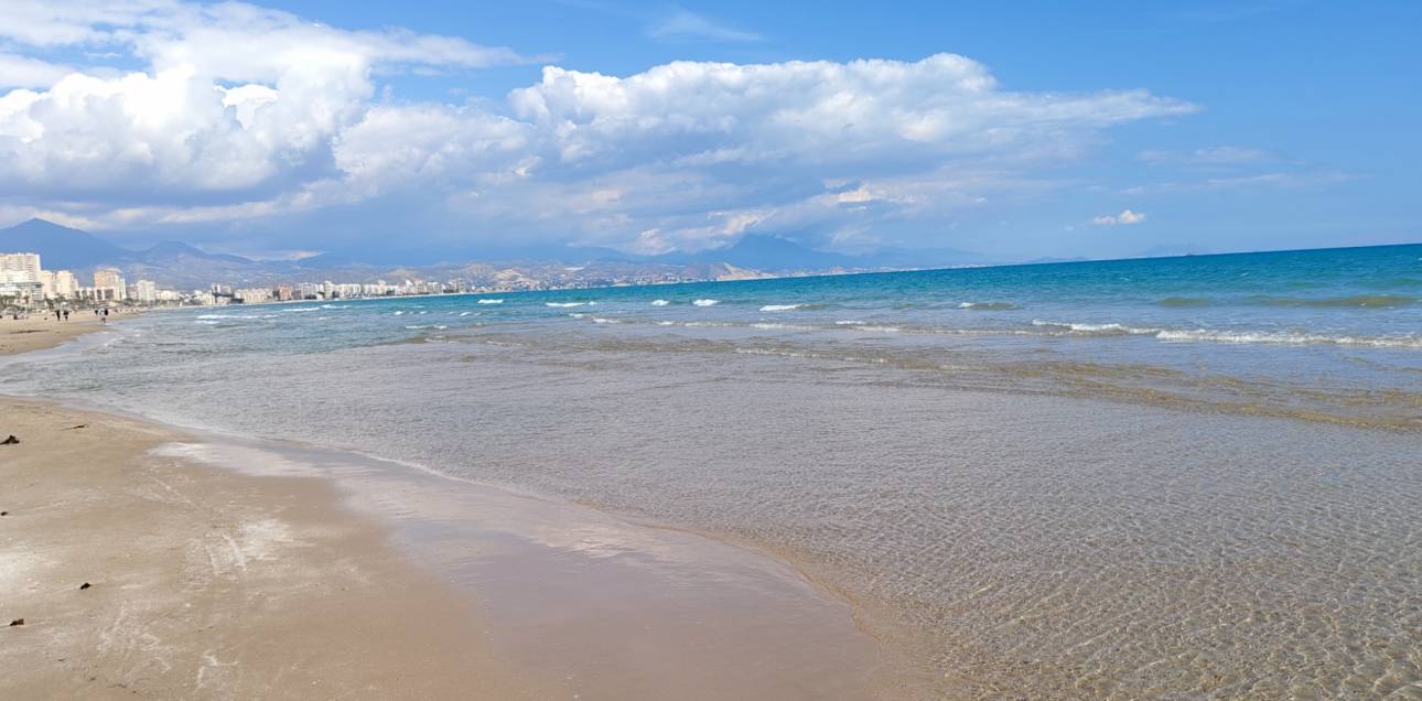 Resale - Apartment - San Juan de Alicante