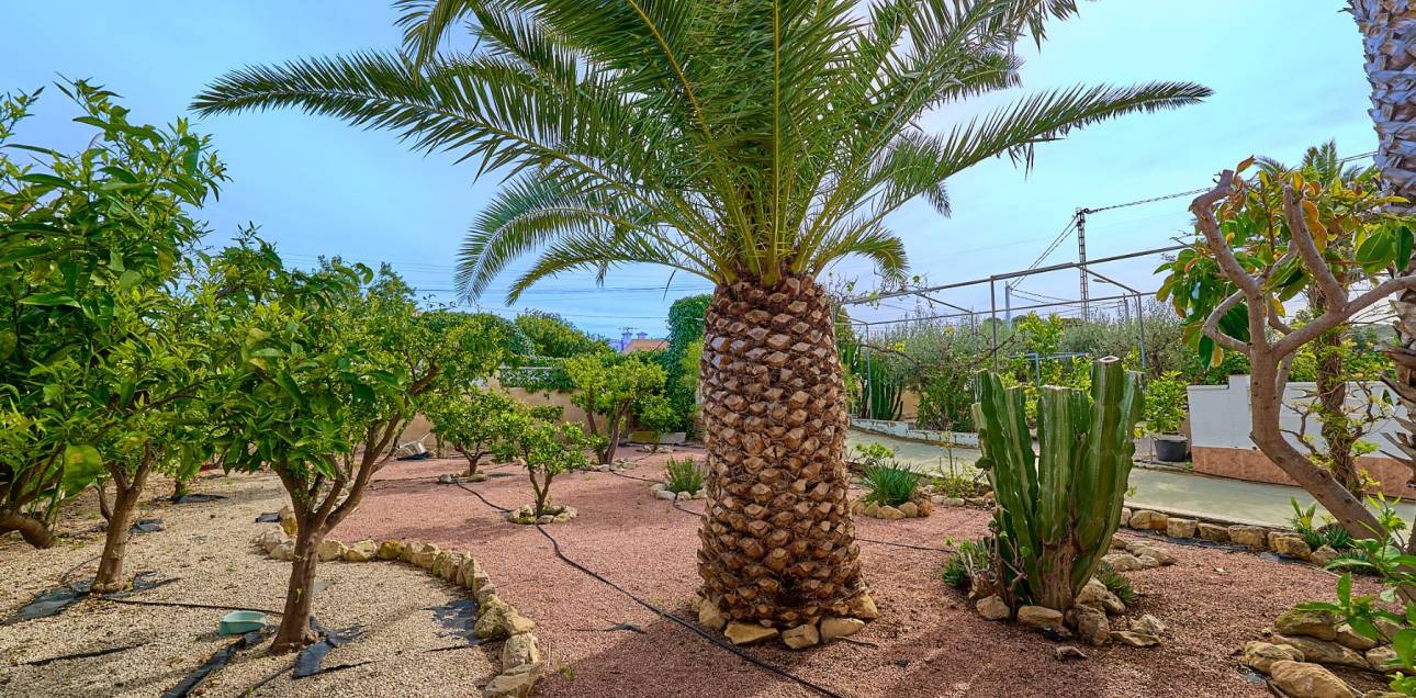 Resale - Chalet - Callosa De Ensarrià