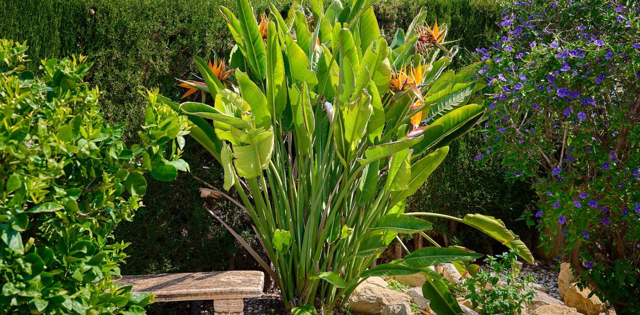 Resale - Town house - Busot