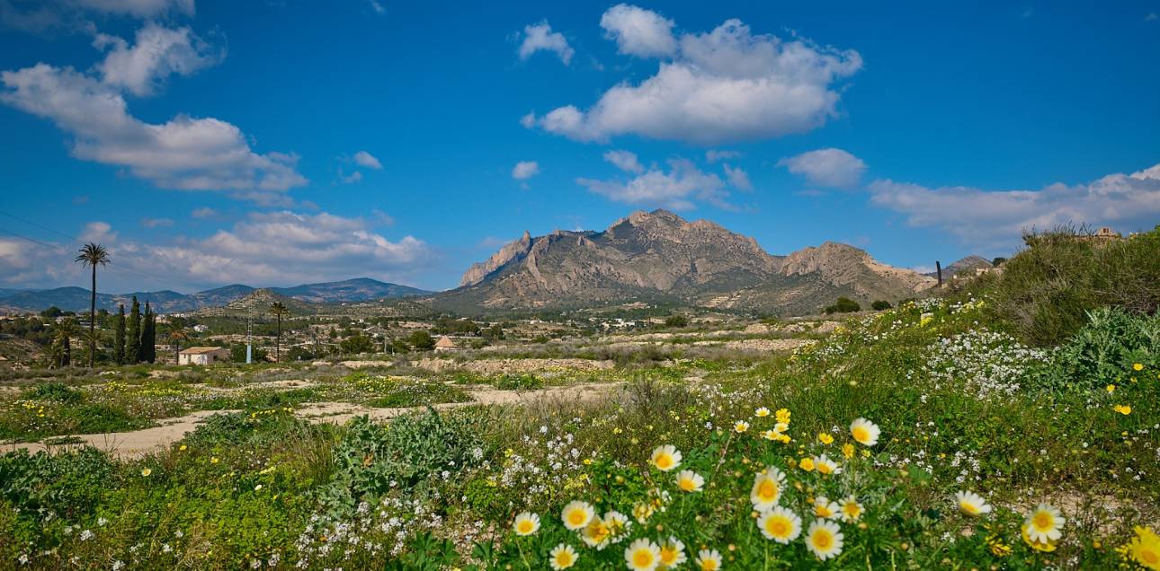 Resale - Town house - Busot