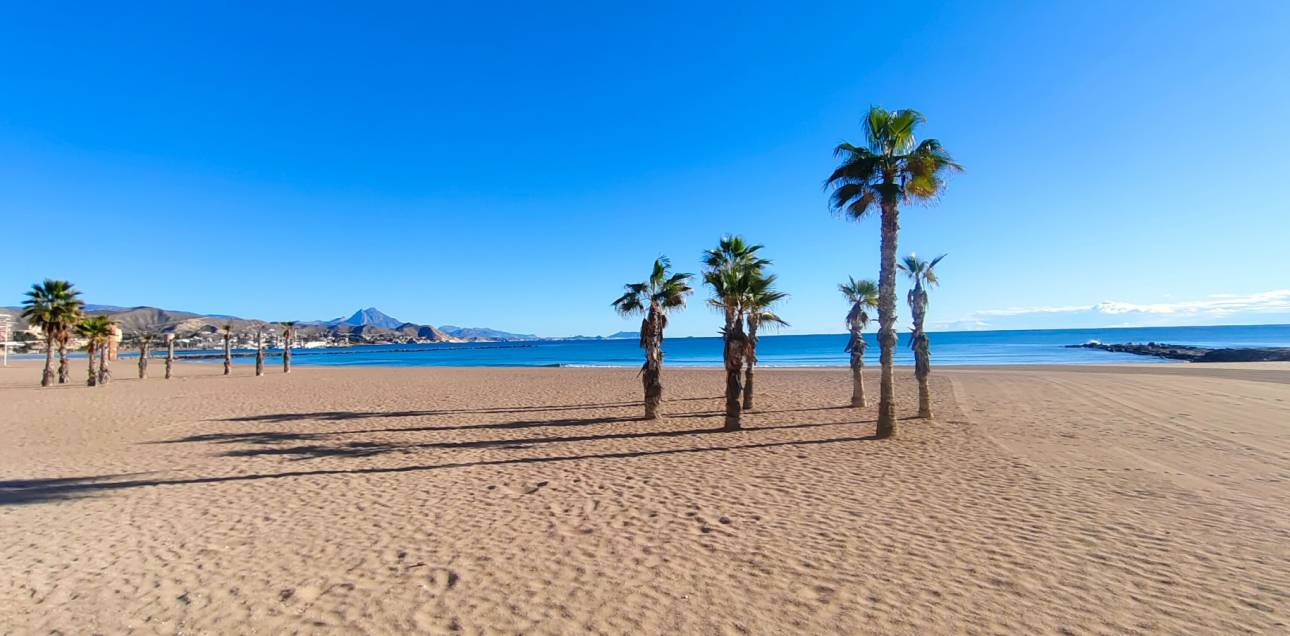 Resale - Apartment - El Campello - El Campello Playa