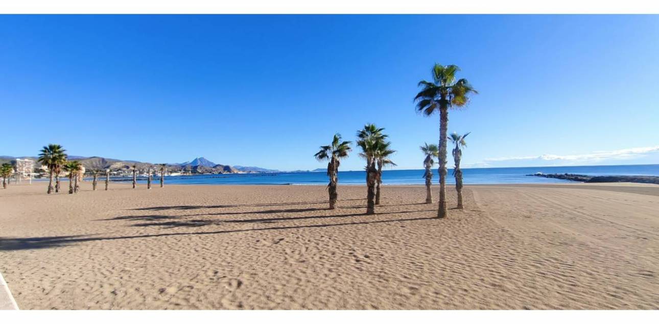 Resale - Apartamento - El Campello - El Campello Playa