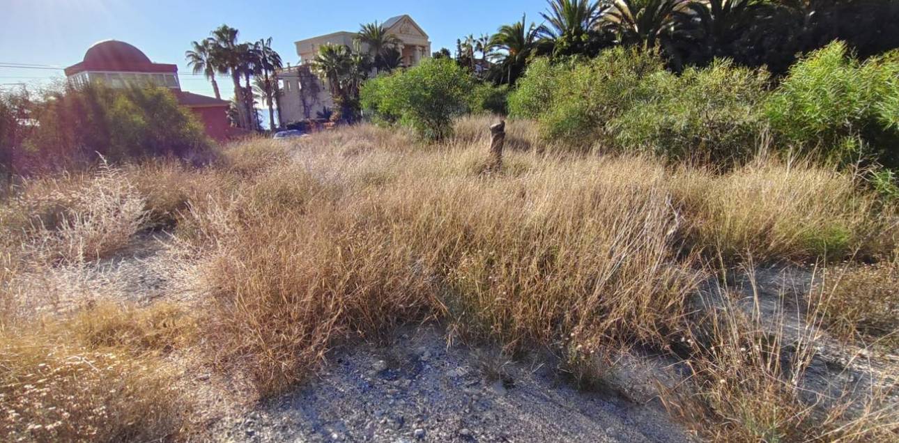 Resale - Parcela - El Campello - La Almadraba-Coveta Fumà-Amerador