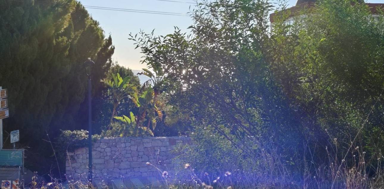 Resale - Parcela - El Campello - La Almadraba-Coveta Fumà-Amerador