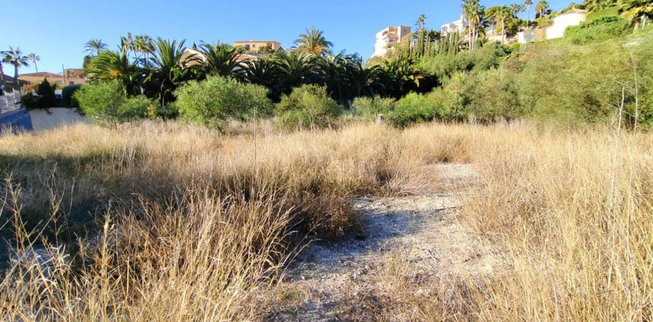 Resale - Parcela - El Campello - La Almadraba-Coveta Fumà-Amerador