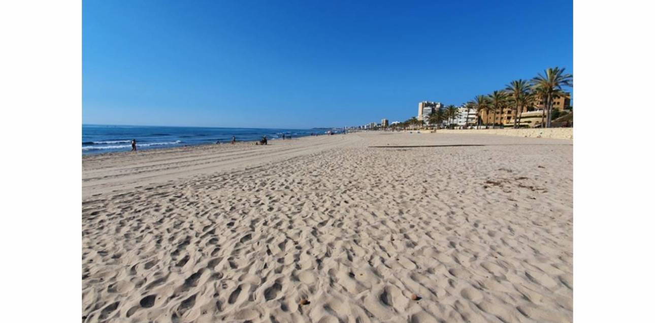 Venta - Apartamento - El Campello - Platja Muchavista