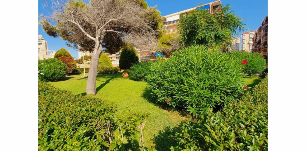 Venta - Apartamento - El Campello - Platja Muchavista