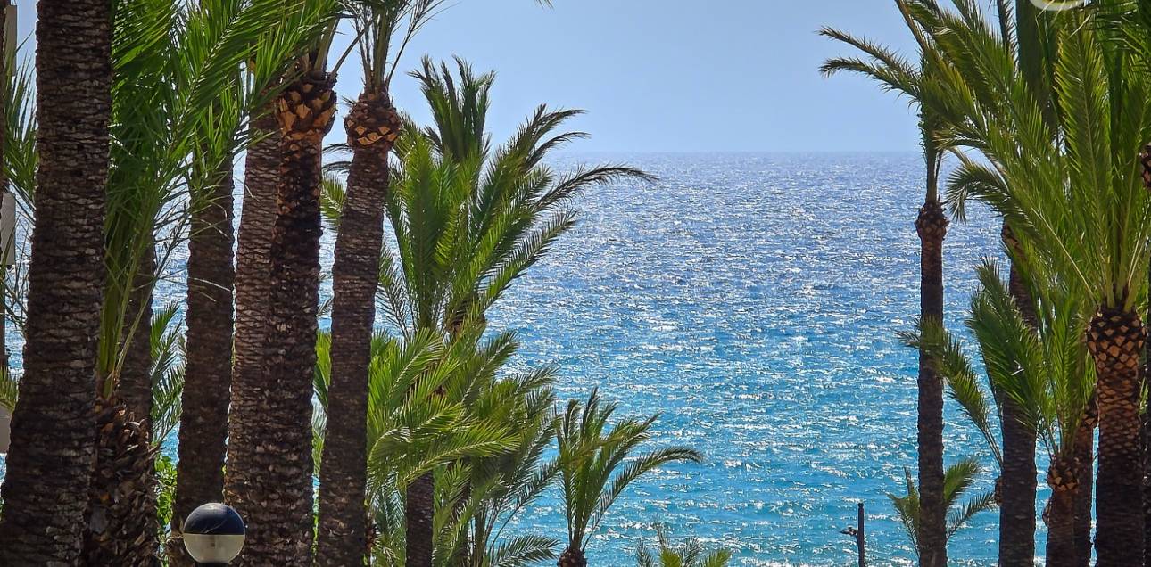 Resale - Apartment - El Campello - Platja Muchavista