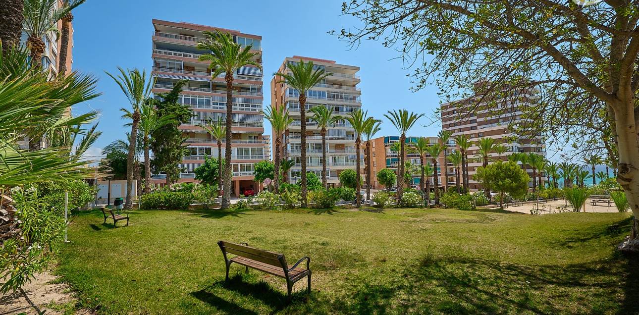 Resale - Apartment - El Campello - Platja Muchavista