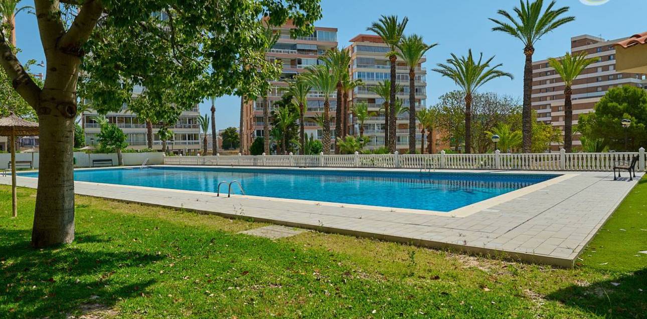 Venta - Apartamento - El Campello - Platja Muchavista