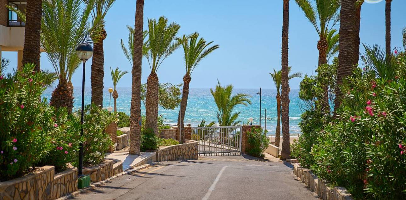 Venta - Apartamento - El Campello - Platja Muchavista