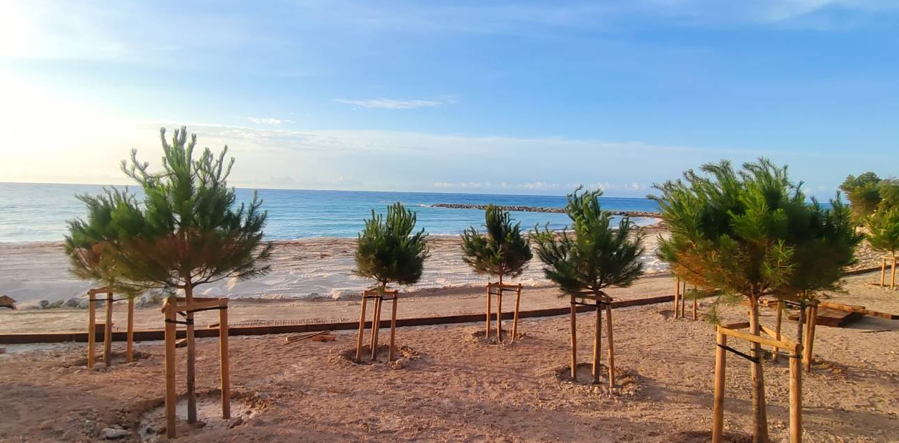 Resale - Apartment - El Campello - Pueblo Acantilado - Venta Lanuza