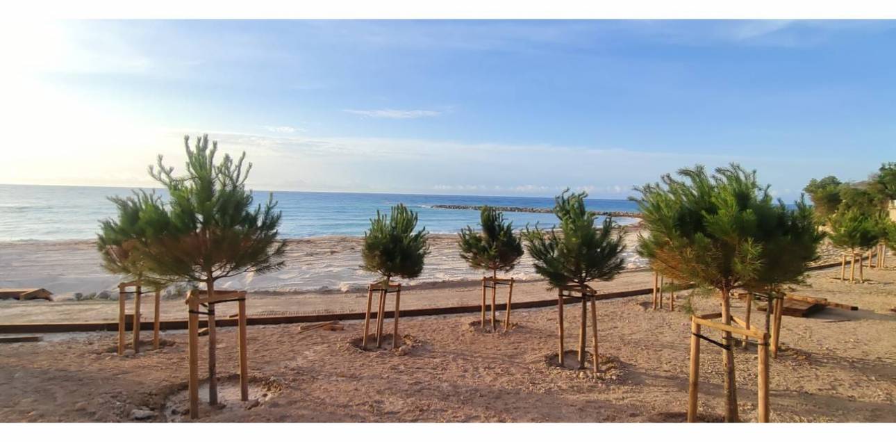 Venta - Ático - El Campello - Norte-Venta Lanuza-Cala d'Or