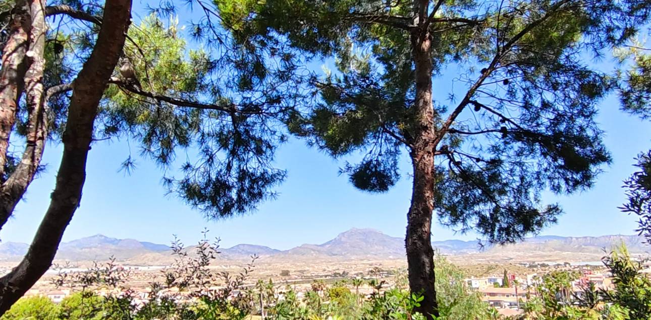 Venta - Apartamento - Mutxamel