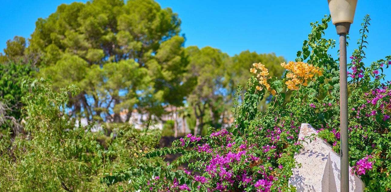 Resale - Town house - El Campello - La Almadraba-Coveta Fumà-Amerador