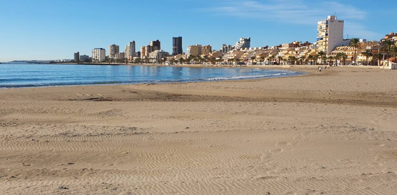Resale - Apartment - El Campello - Campello Beach
